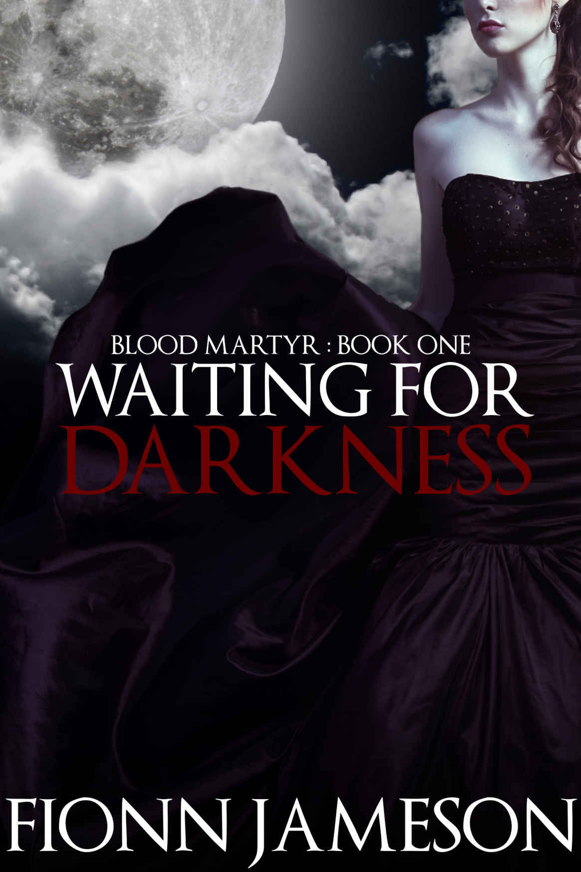 Blood Martyr book cover 1