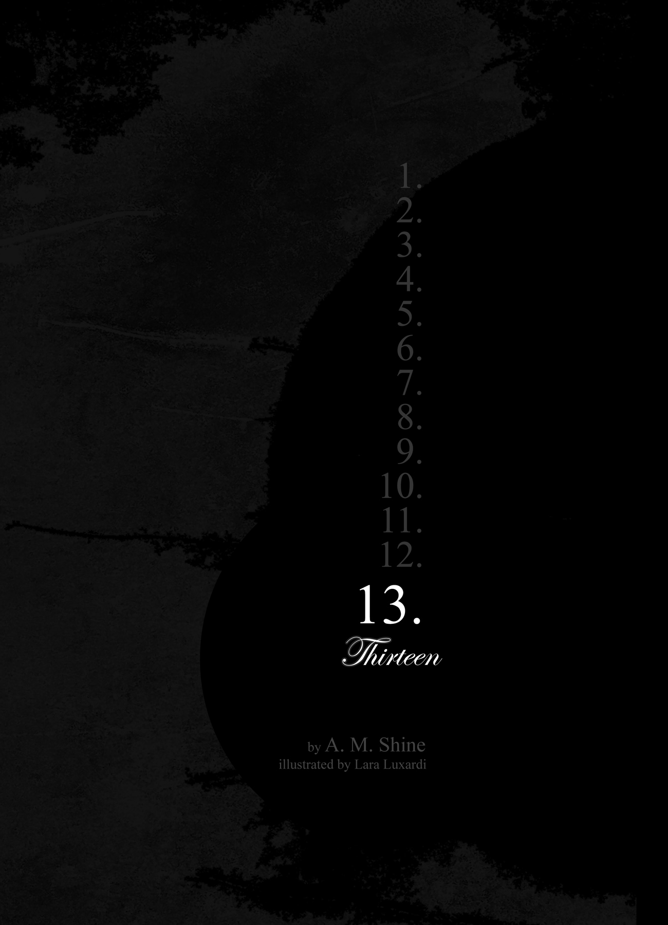 13 book cover
