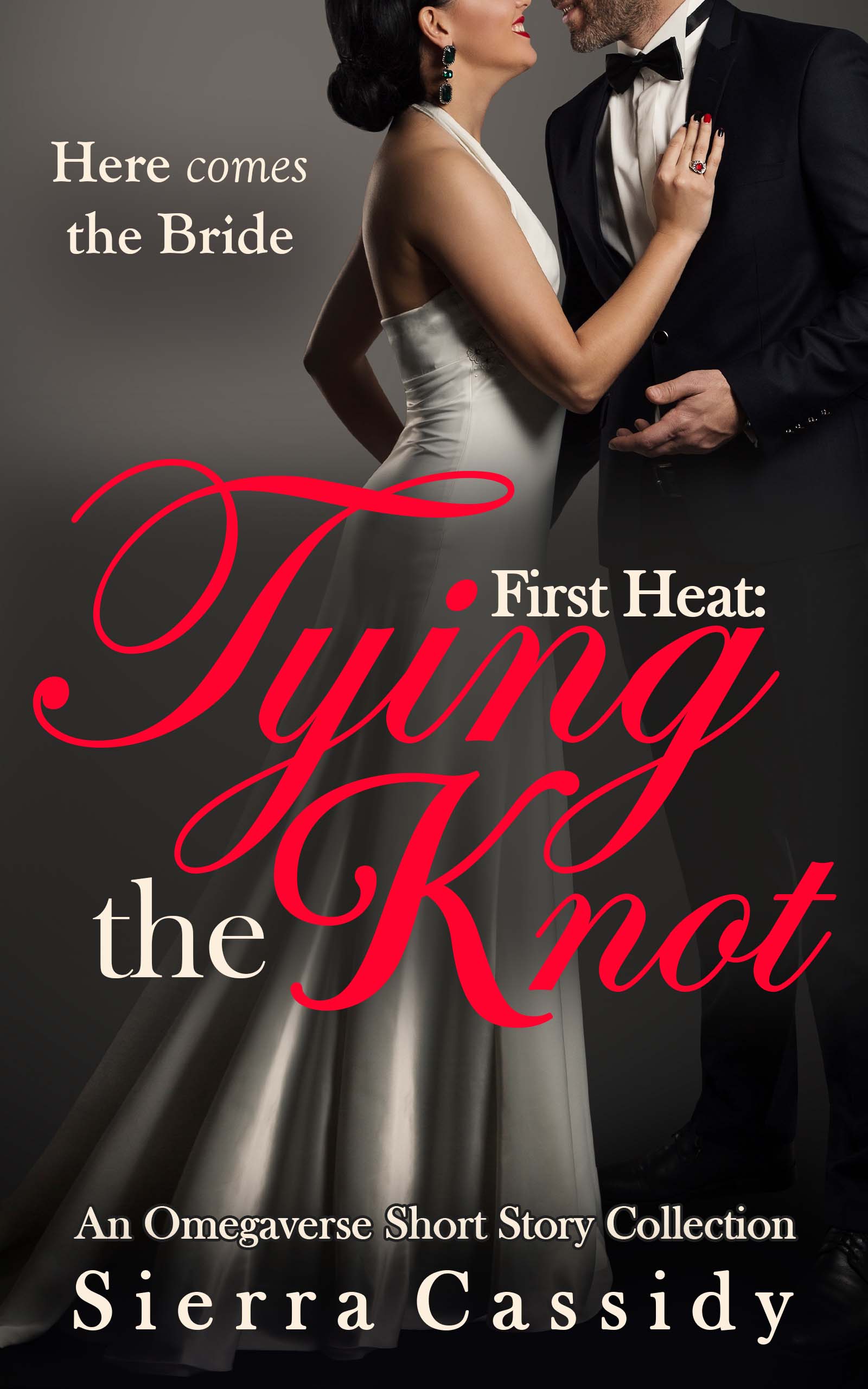 First Heat book cover 3