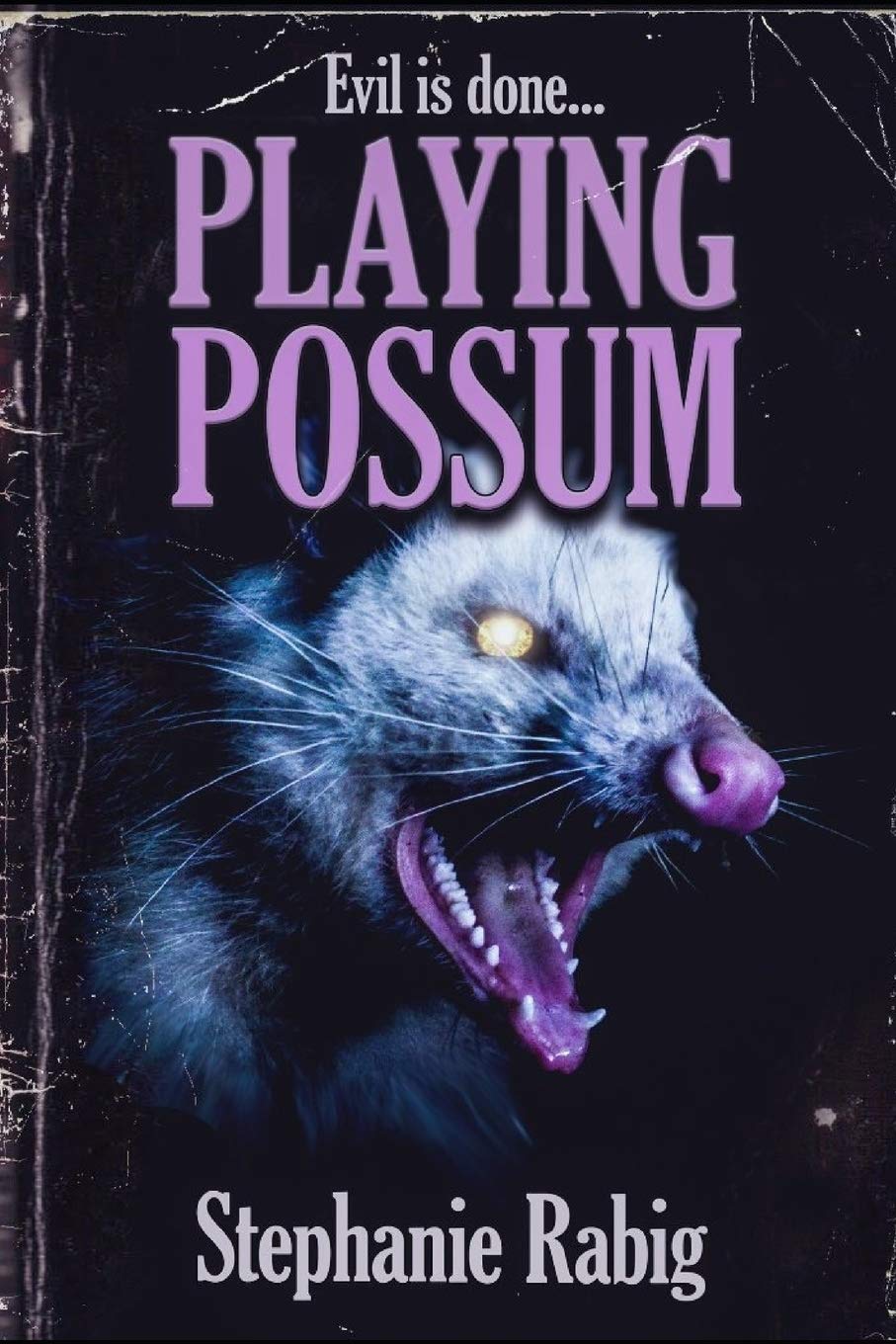 Playing Possum book cover