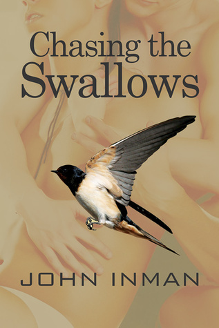 Chasing the Swallows book cover