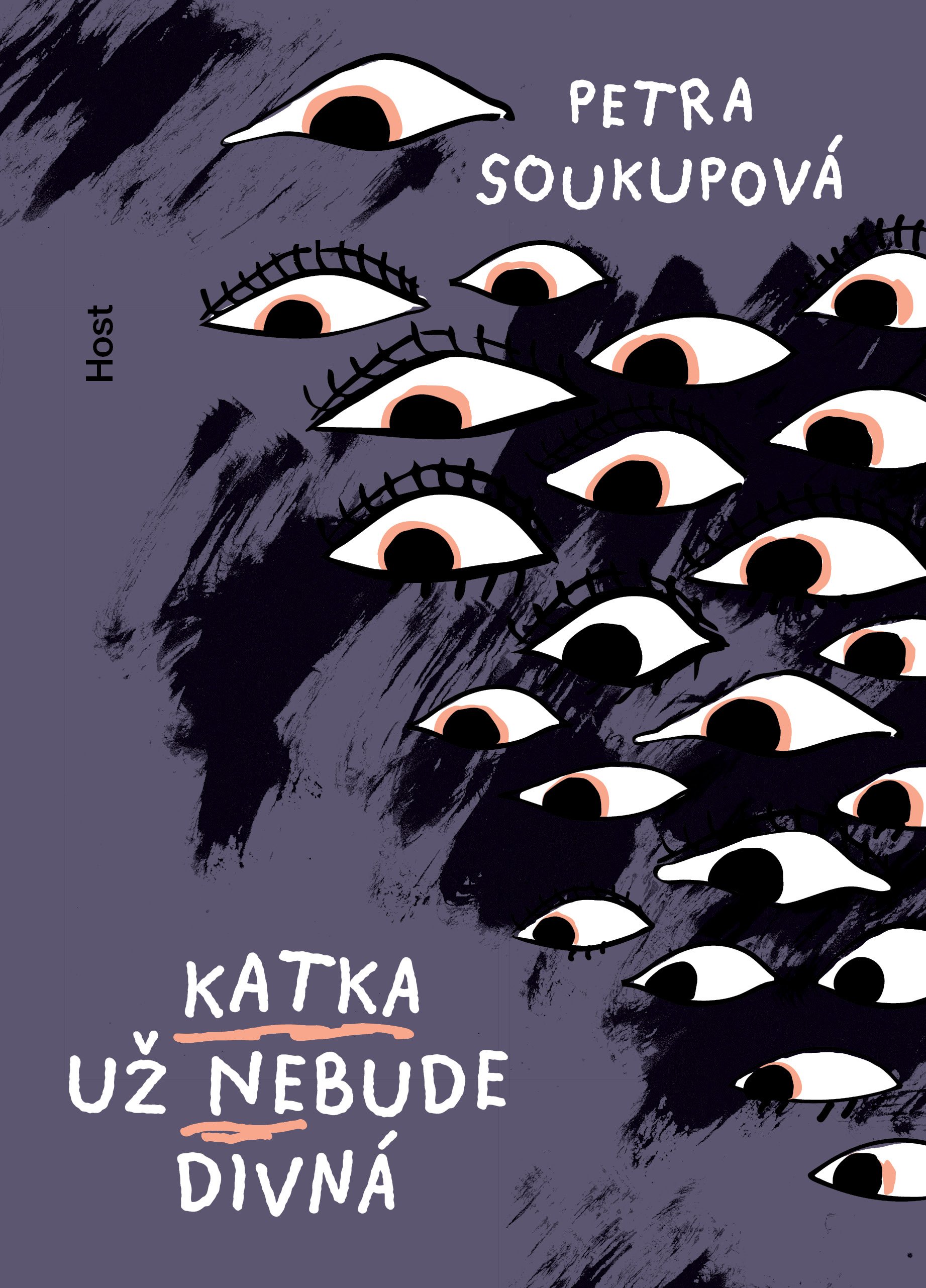 Katka už nebude divná book cover