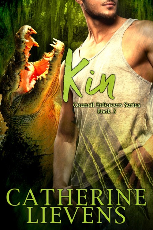 Council Enforcers book cover 3