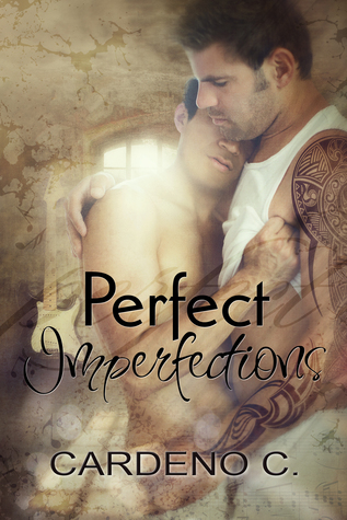 Perfect Imperfections book cover