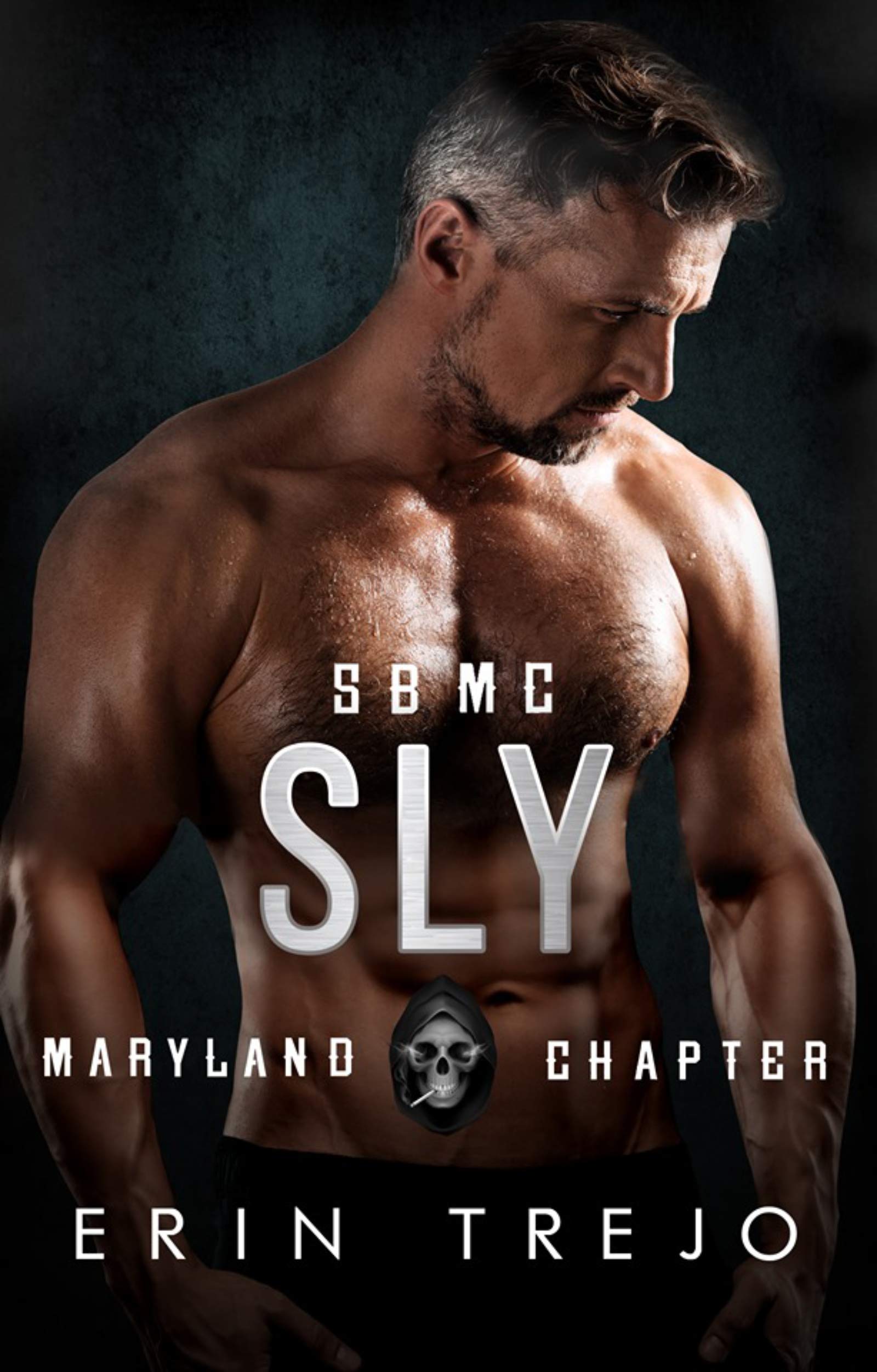 Sly book cover