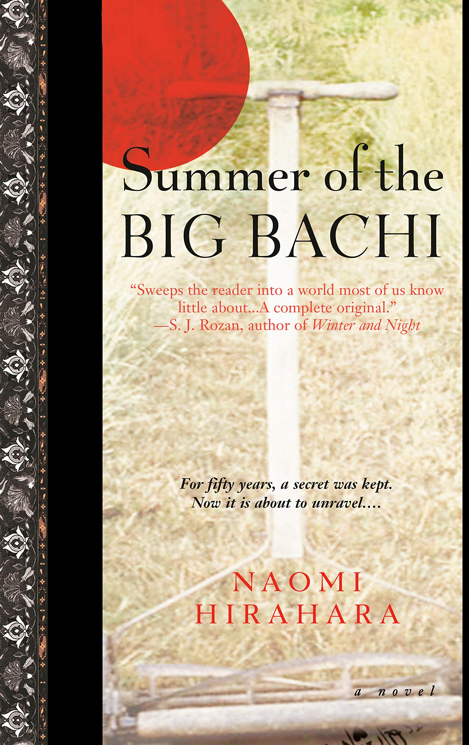 Summer of the Big Bachi book cover