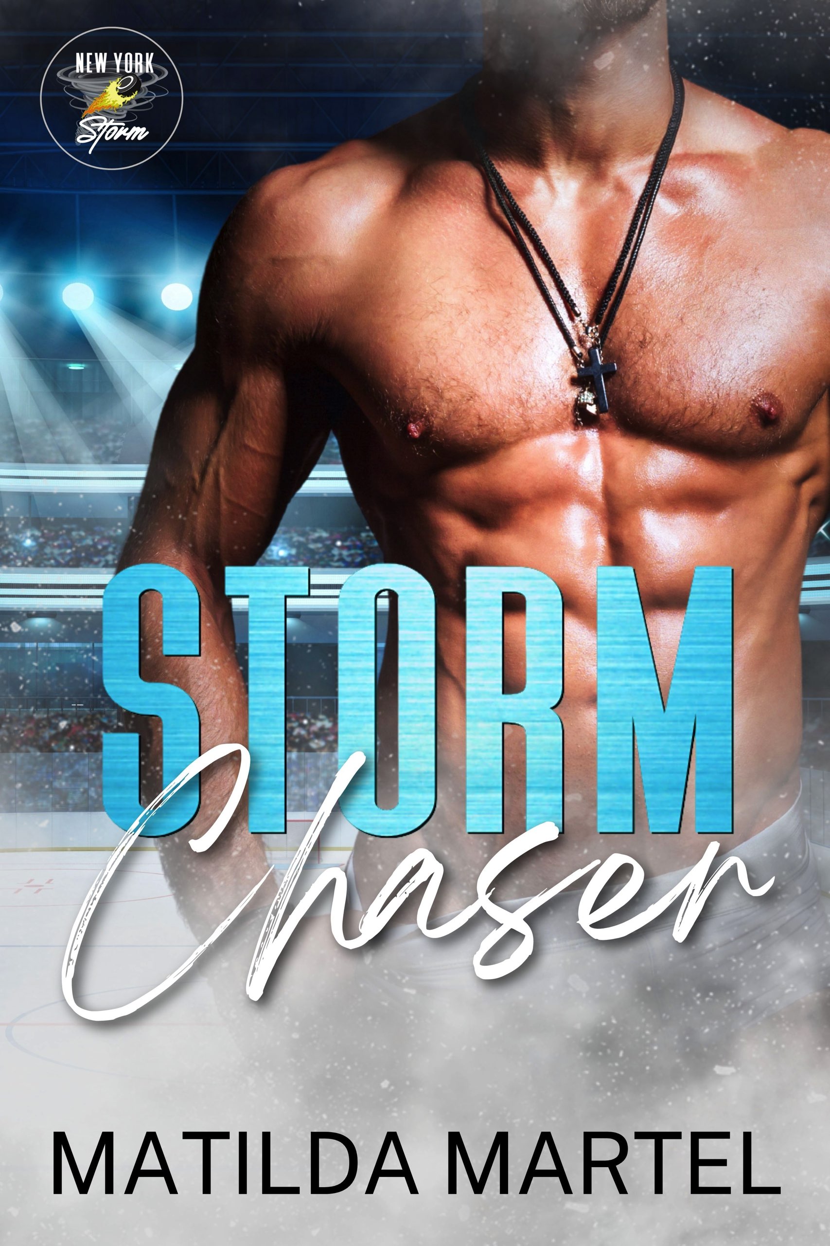 New York Storm book cover 1