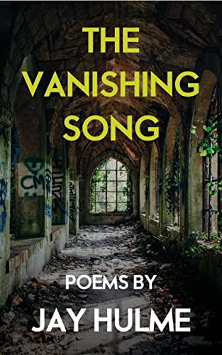 The Vanishing Song book cover