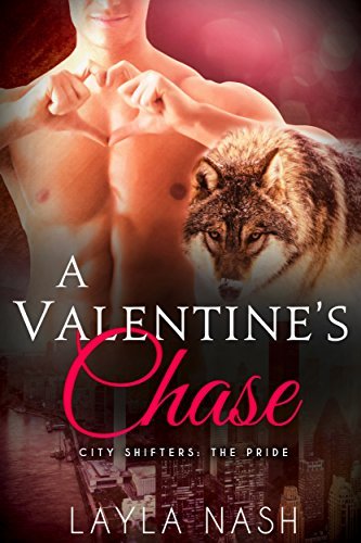 A Valentine's Chase book cover