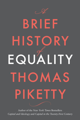 A Brief History of Equality book cover