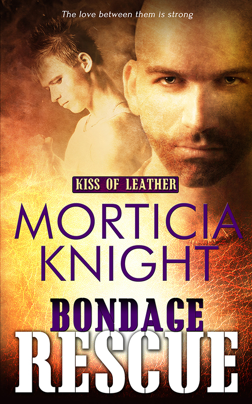 Kiss of Leather book cover 3