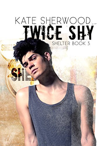 Shelter book cover 3