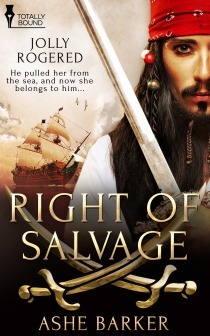 Right of Salvage book cover