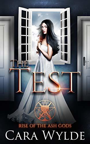 The Test book cover