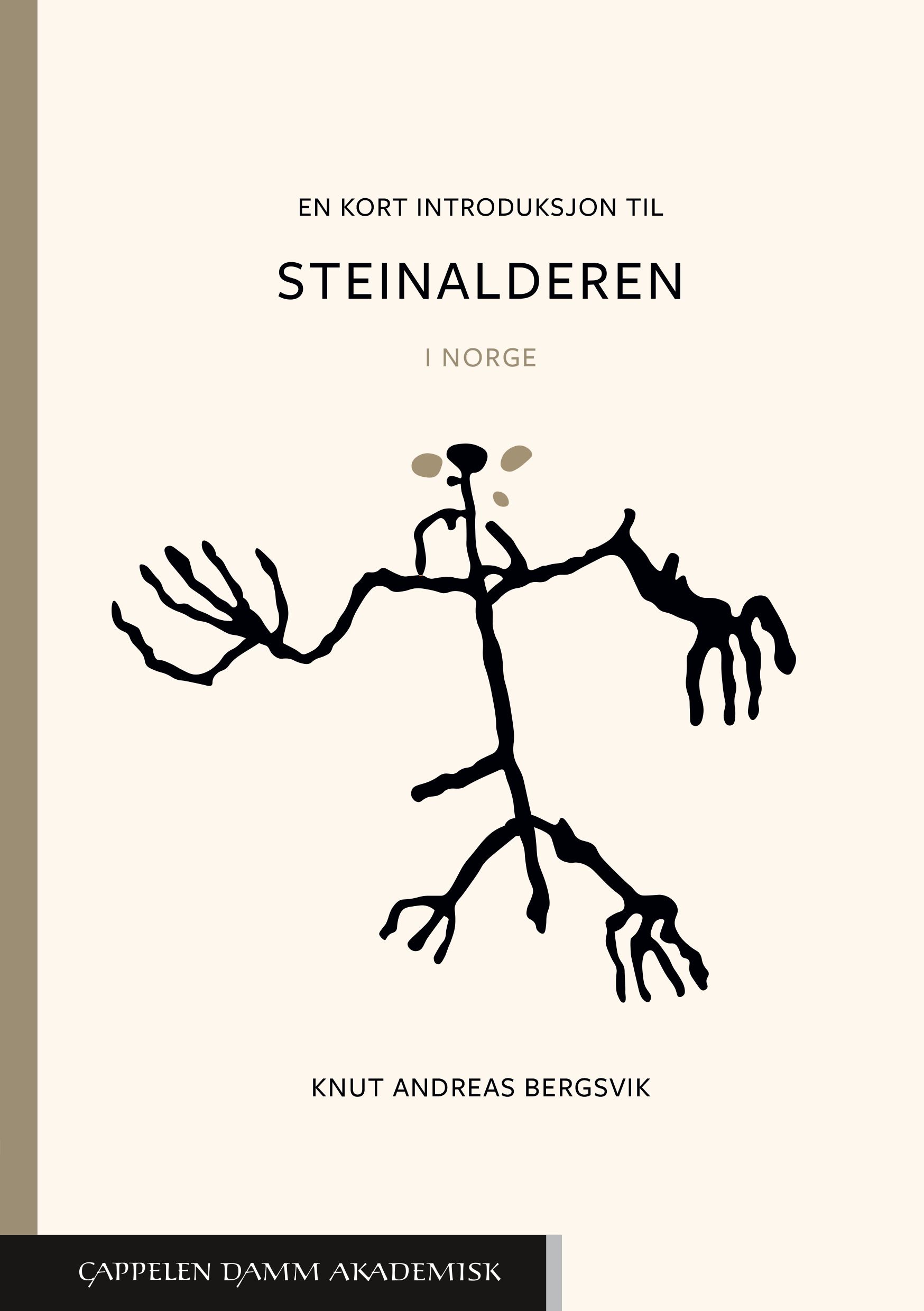 En kort introduksjon til steinalderen book cover