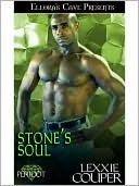 The Stone's Soul book cover