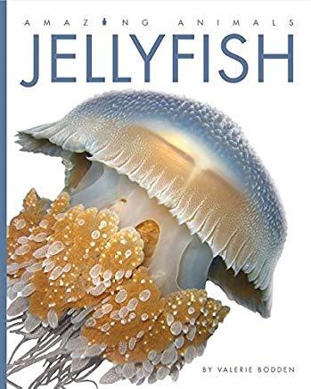 Jellyfish book cover