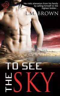 To See the Sky book cover 1