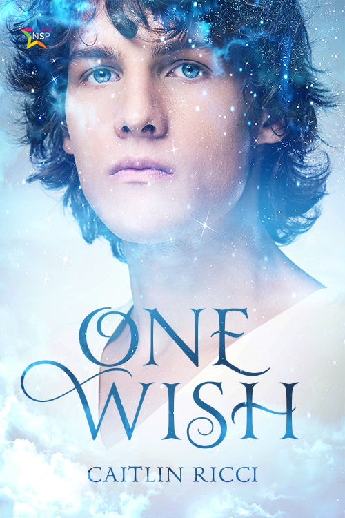 One Wish book cover