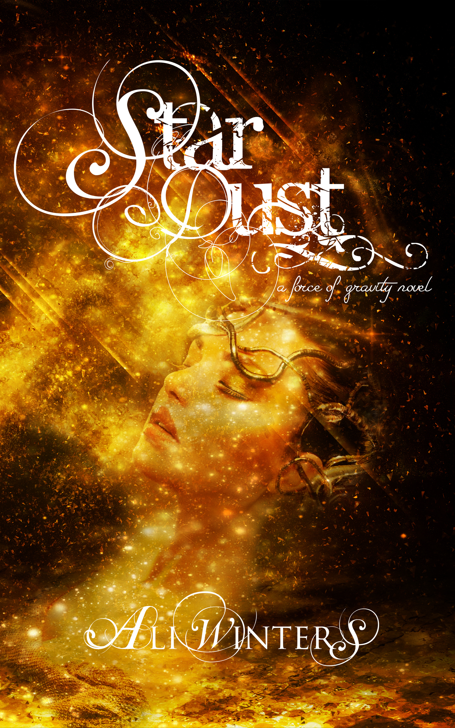 Force of Gravity book cover 1