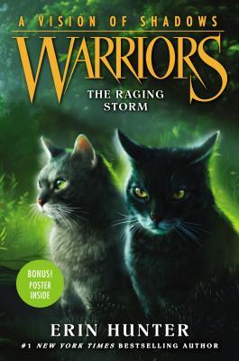 The Raging Storm book cover