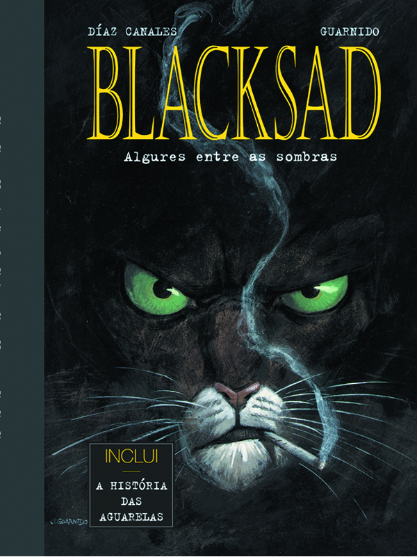 Algures Entre as Sombras book cover