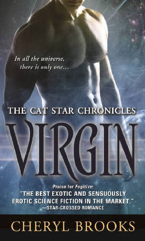 Virgin book cover