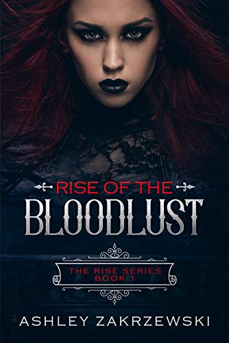 Rise book cover 1