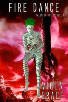 Fire Dance book cover