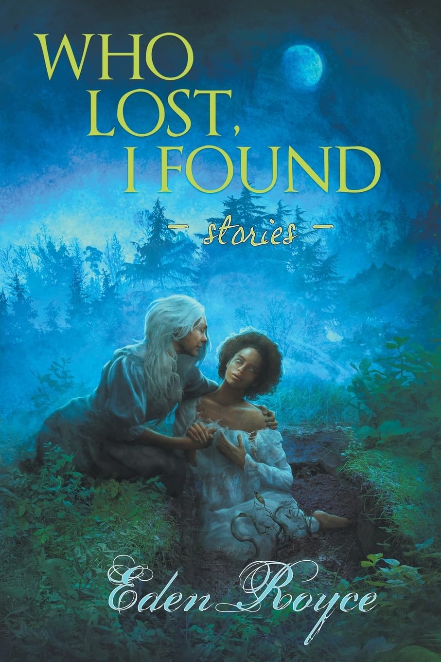 Who Lost, I Found book cover