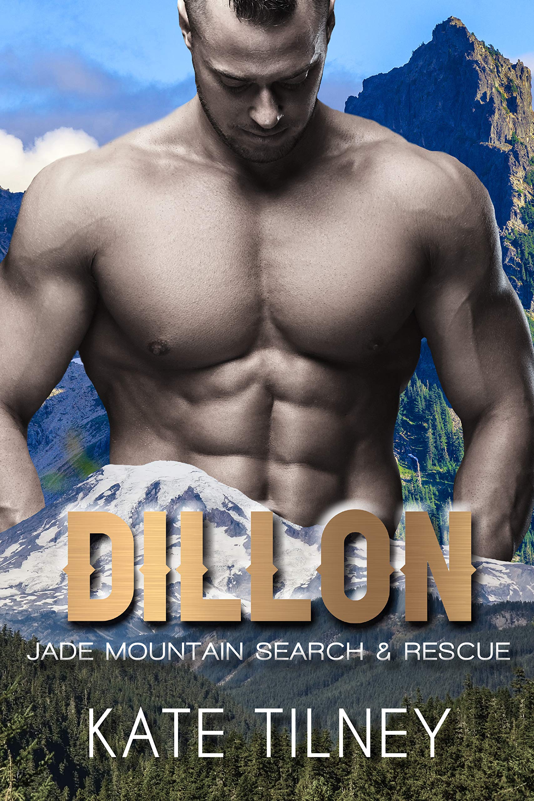 Dillon book cover