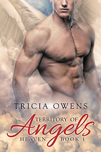 A:R Heaven book cover 1