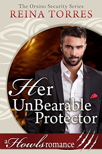 Orsino Security book cover 1
