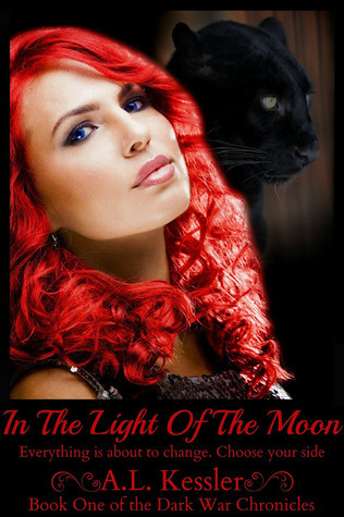 Dark War Chronicles book cover 1