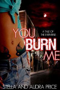 You Burn Me book cover