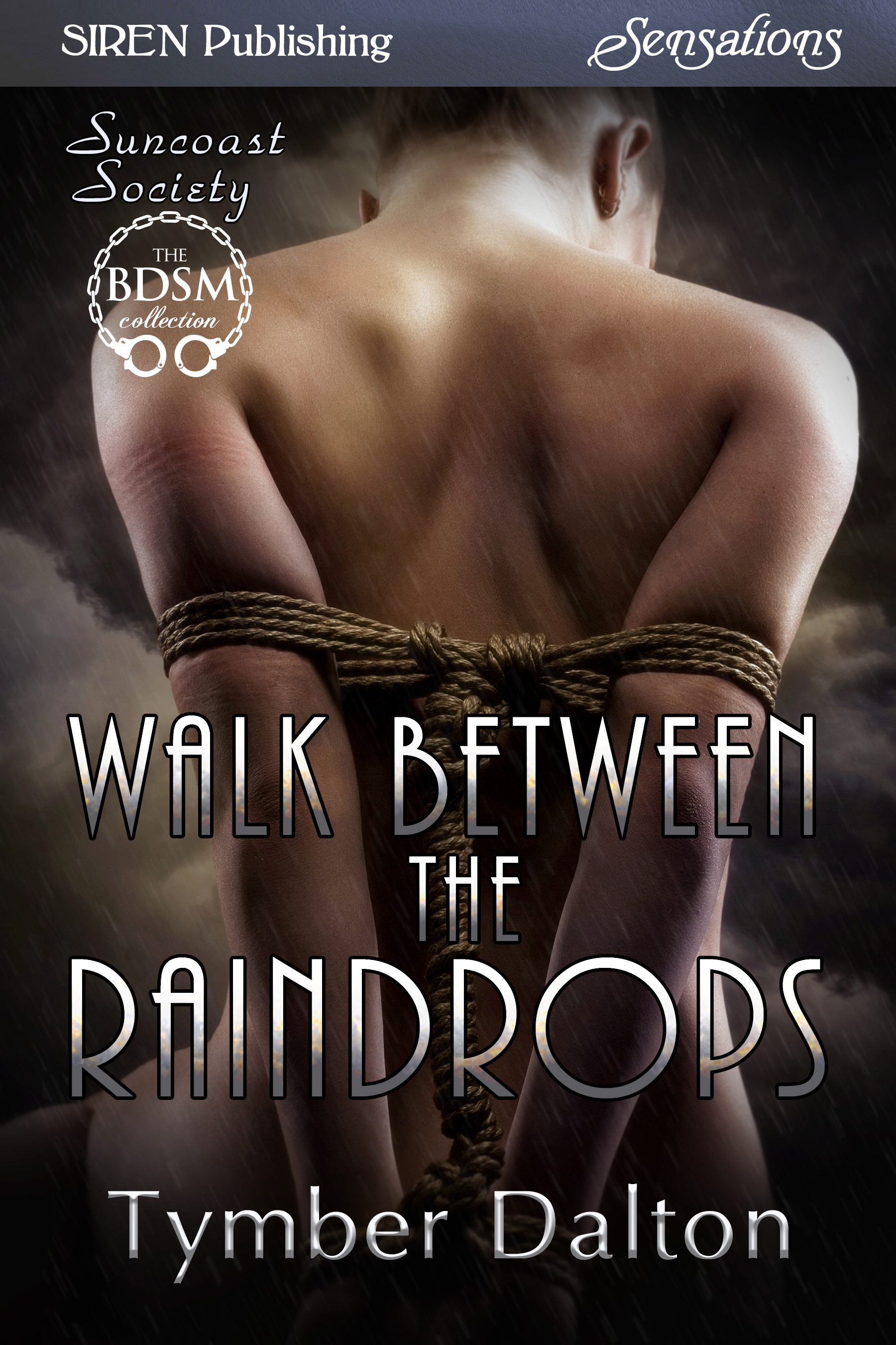 Walk Between the Raindrops book cover