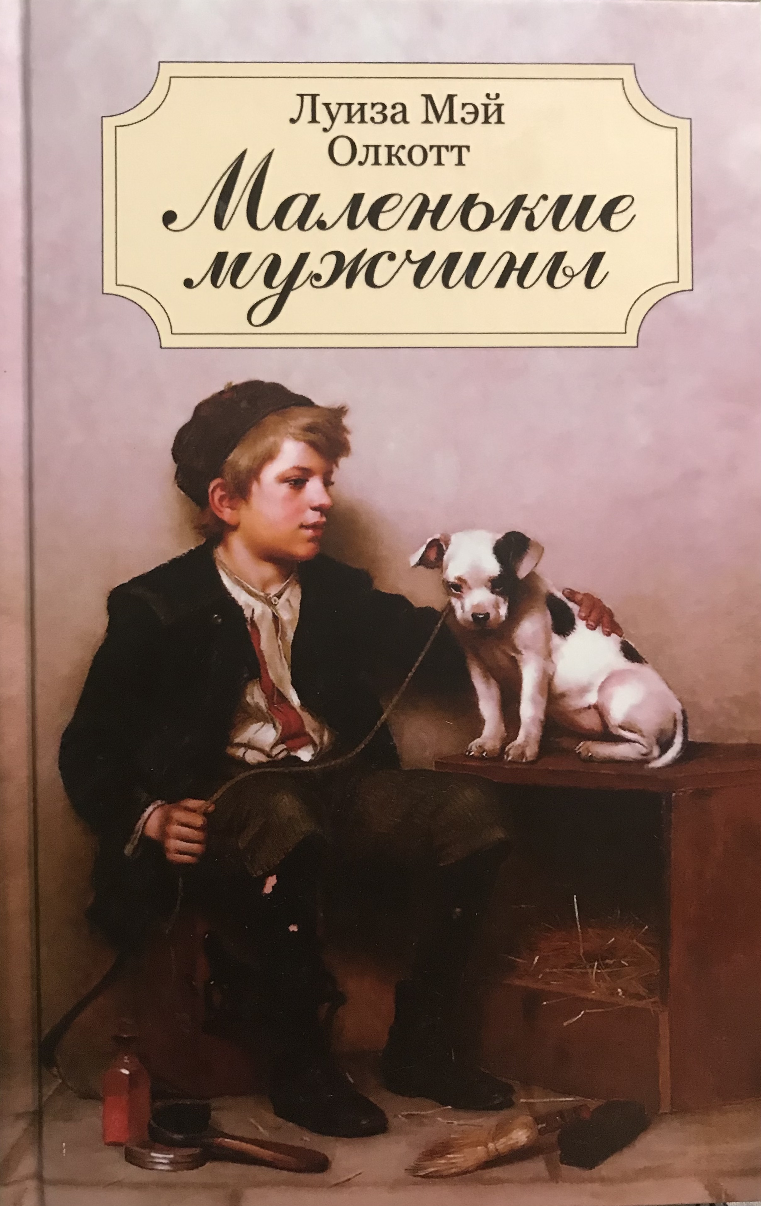 Маленькие мужчины book cover