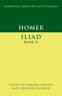 Iliad, Book VI book cover