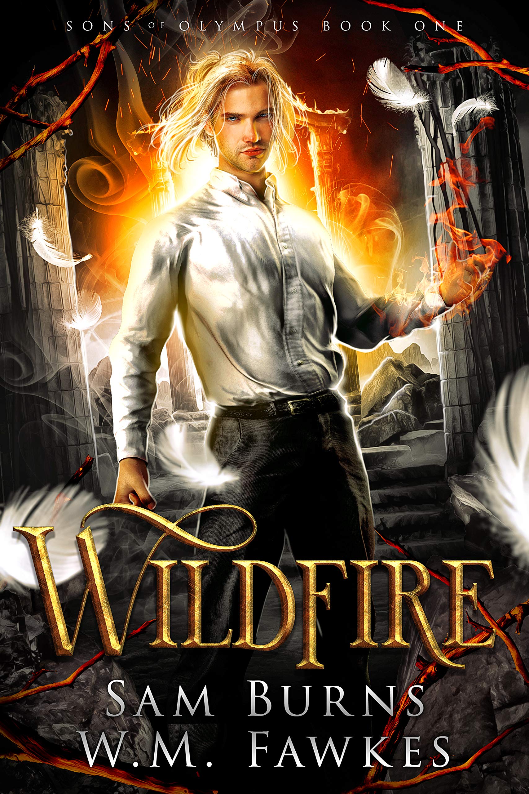 Sons of Olympus book cover 1