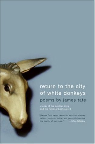 Return to the City of White Donkeys book cover
