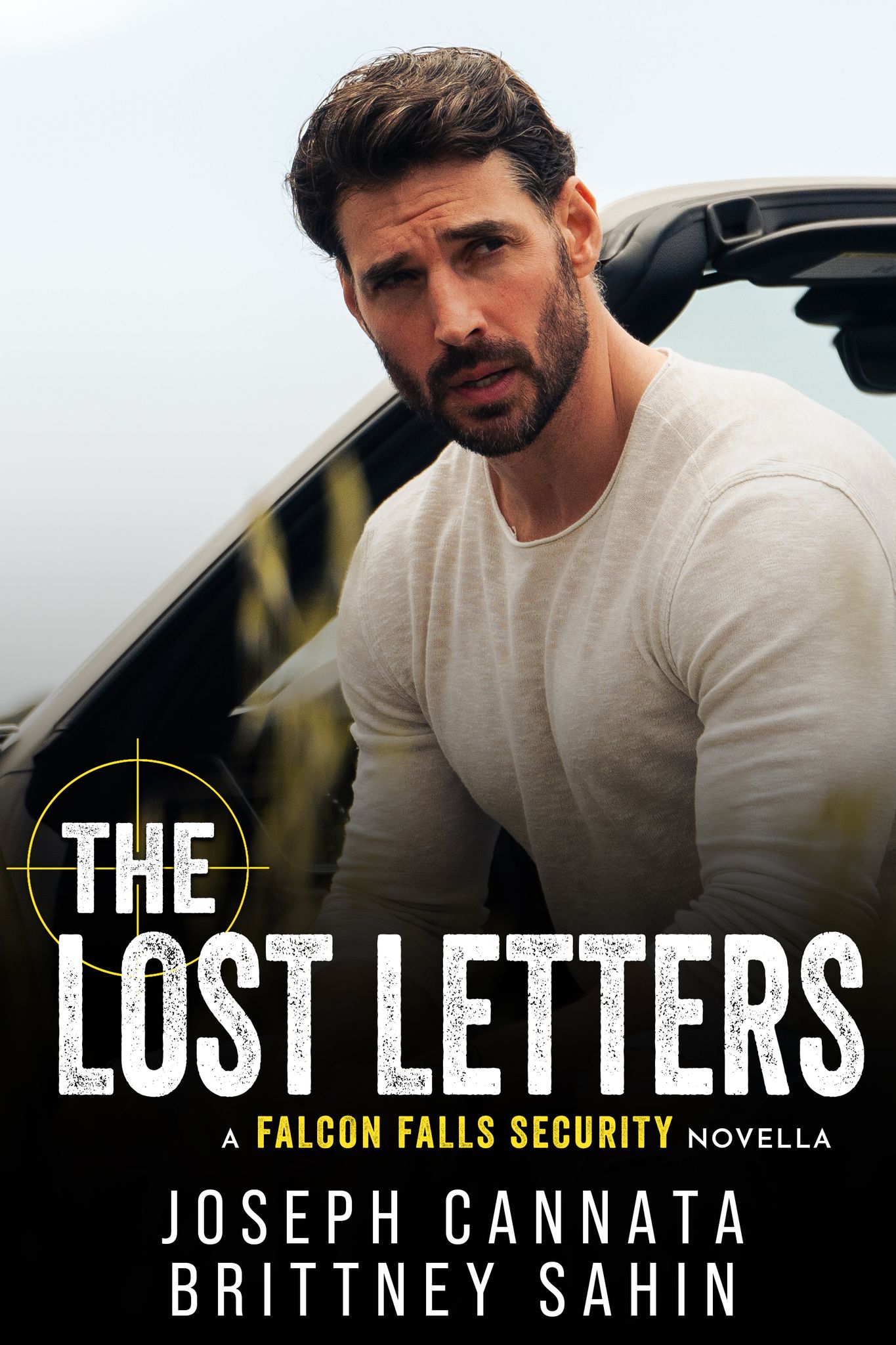 The Lost Letters book cover