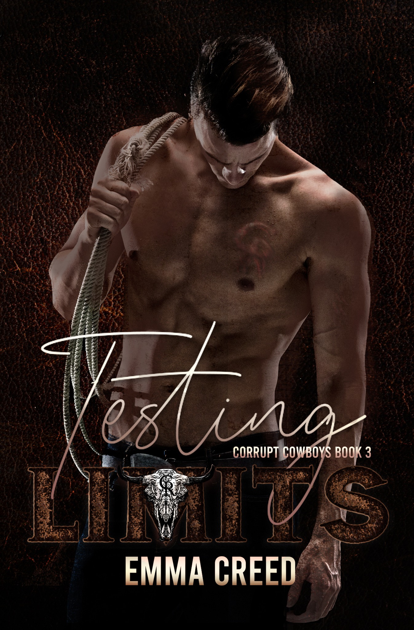 Corrupt Cowboys book cover 3