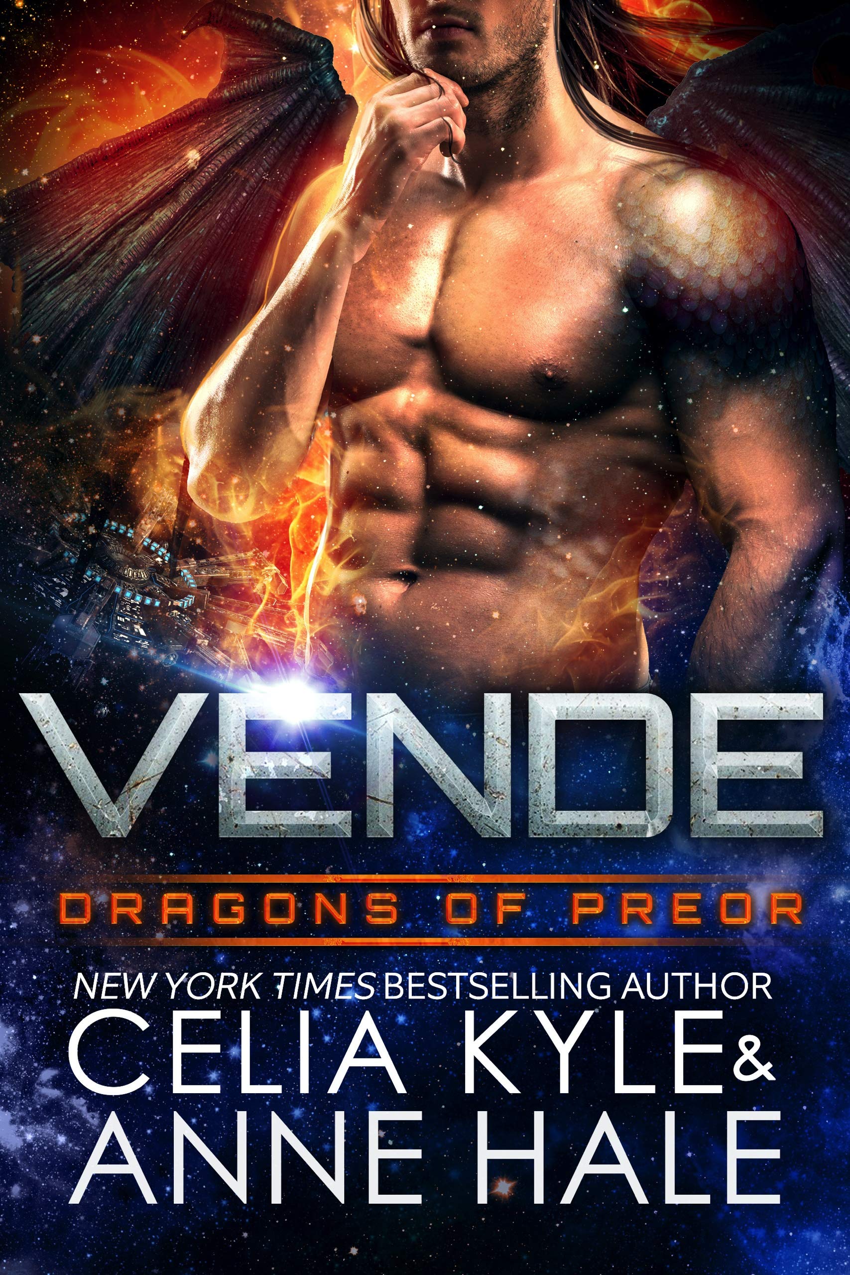 Vende book cover