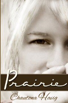 Journey of Dreams book cover 1