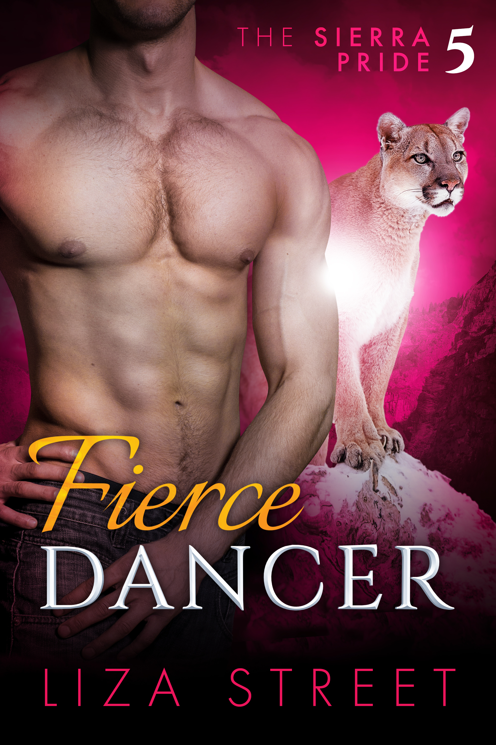 Fierce Dancer book cover
