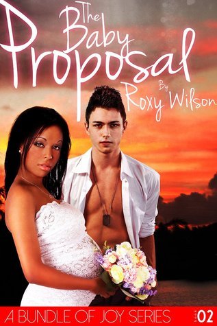 Bundle of Joy book cover 2