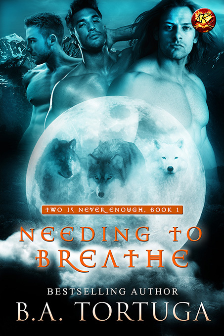 Two Is Never Enough book cover 1