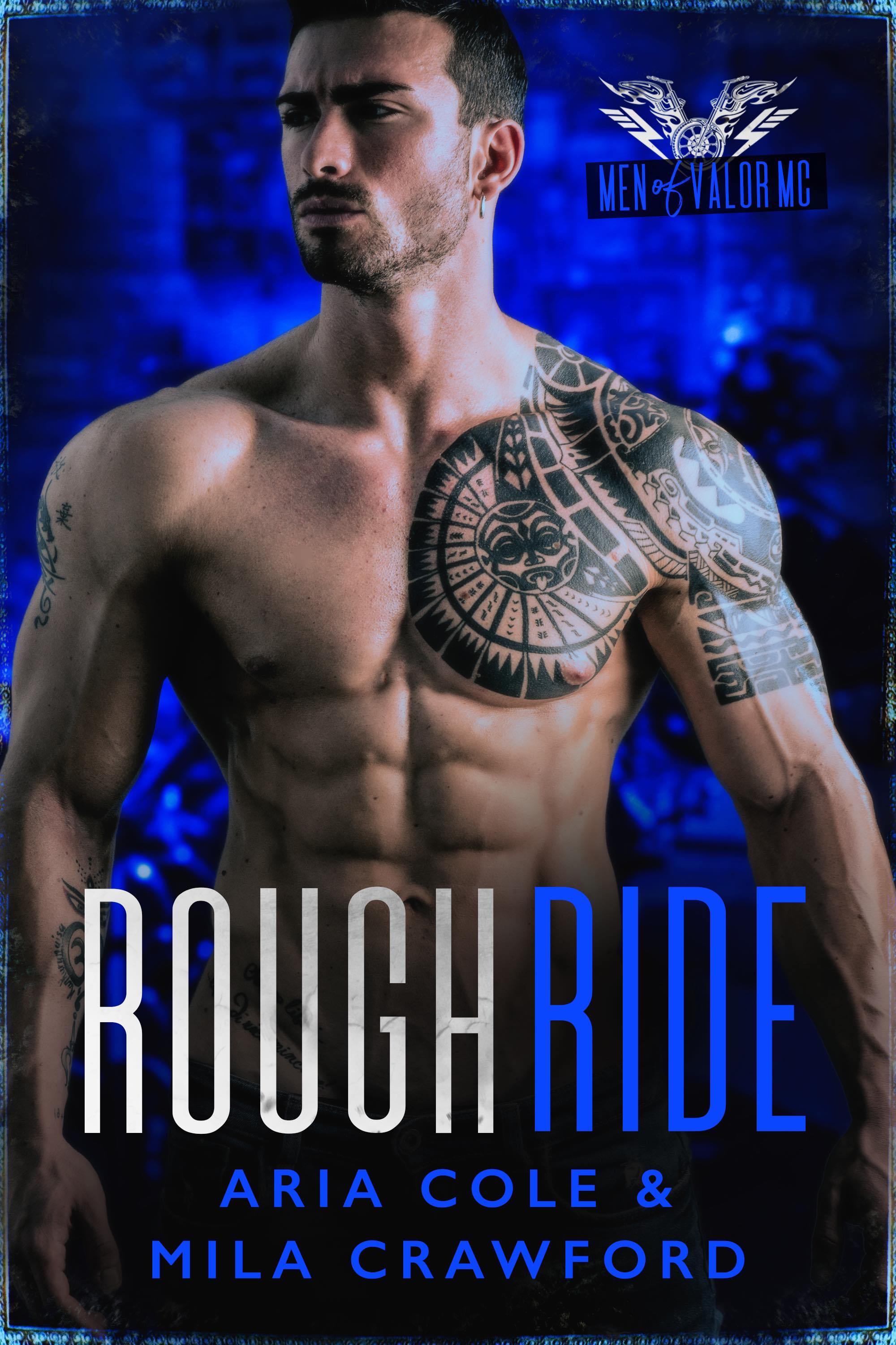 Rough Ride book cover