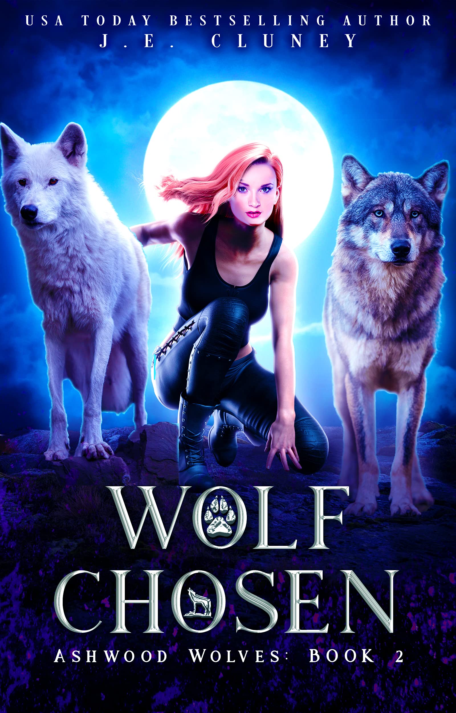 Ashwood Wolves book cover 2