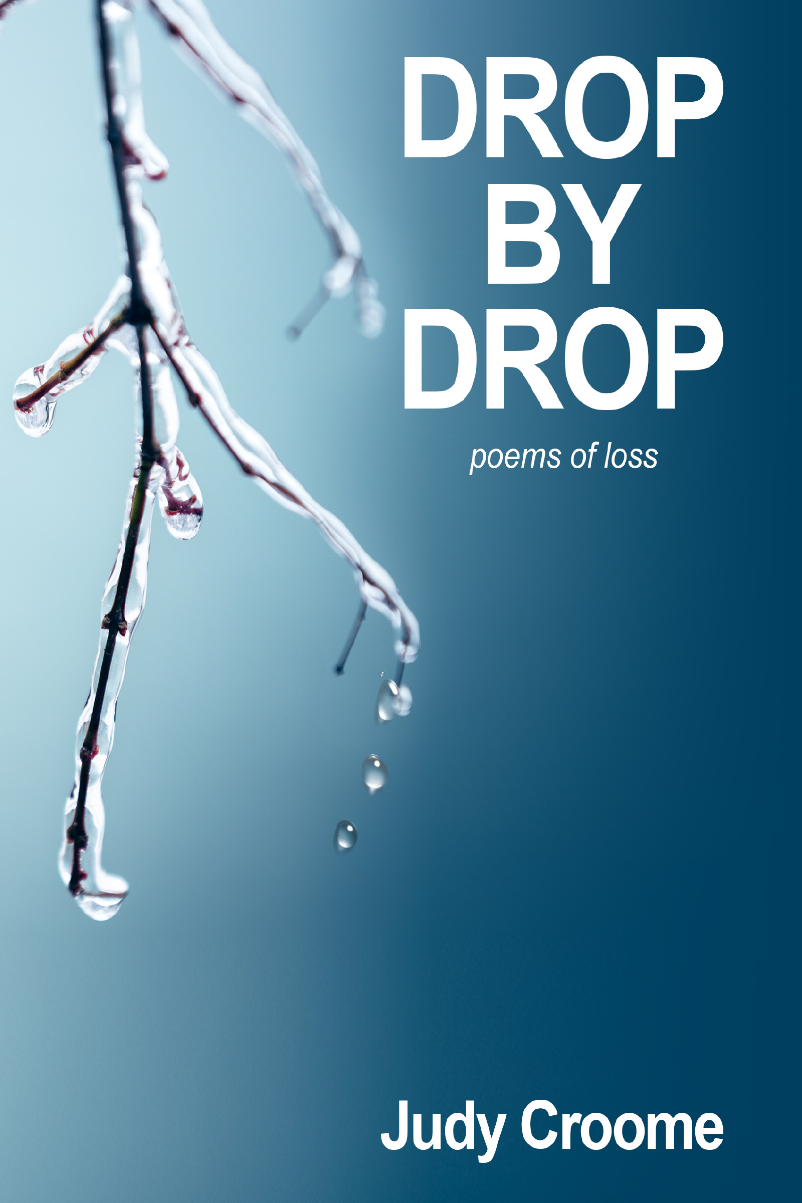 Drop by Drop book cover
